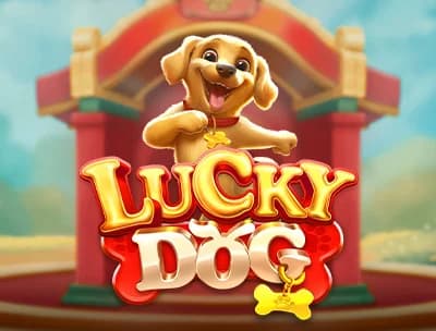 Lucky Dog
