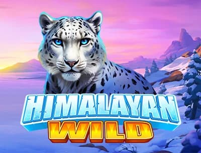 Himalayan Wild 