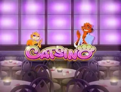 Play Catsino