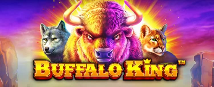 Buffalo King