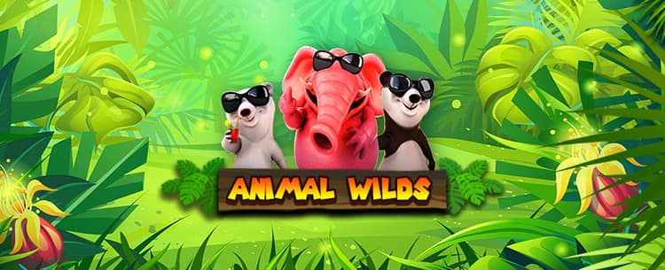 Animal Wilds