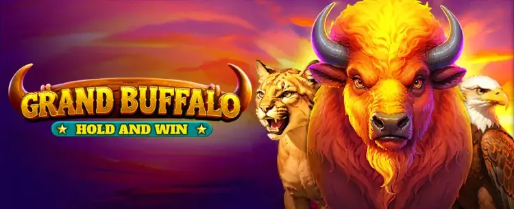 Grand Buffalo Hold and Win
