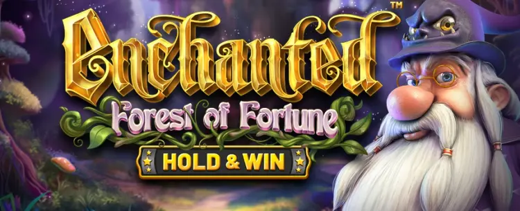 Enchanted: Forest of Fortune