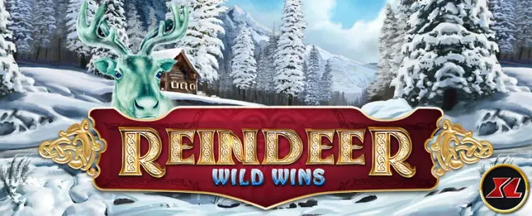 Reinder Wild Wins XL