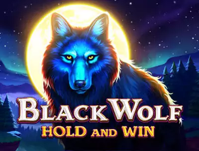 Black Wolf- Slots - Hold and Win 